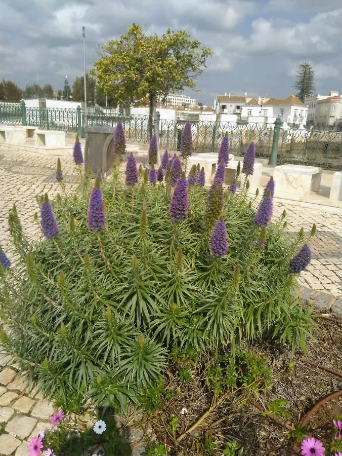 3-Bed Apartment In Town Centre With Beach Access! Tavira